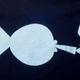Illustration for article titled Shabbat Shalom, M*****F****R: Team T-Shirts Of The 24 Hours Of LeMons!